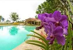 האי קמיגין - חלק ב'