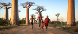 מדגסקר Madagascar
