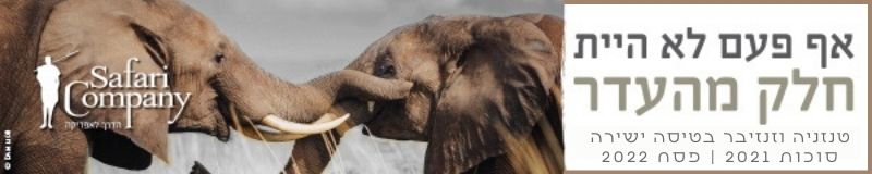 אפריקה ספארי