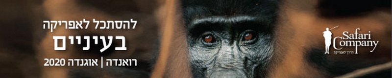 אפריקה ספארי