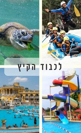 מגזין 187: לכבוד הקיץ שהגיע