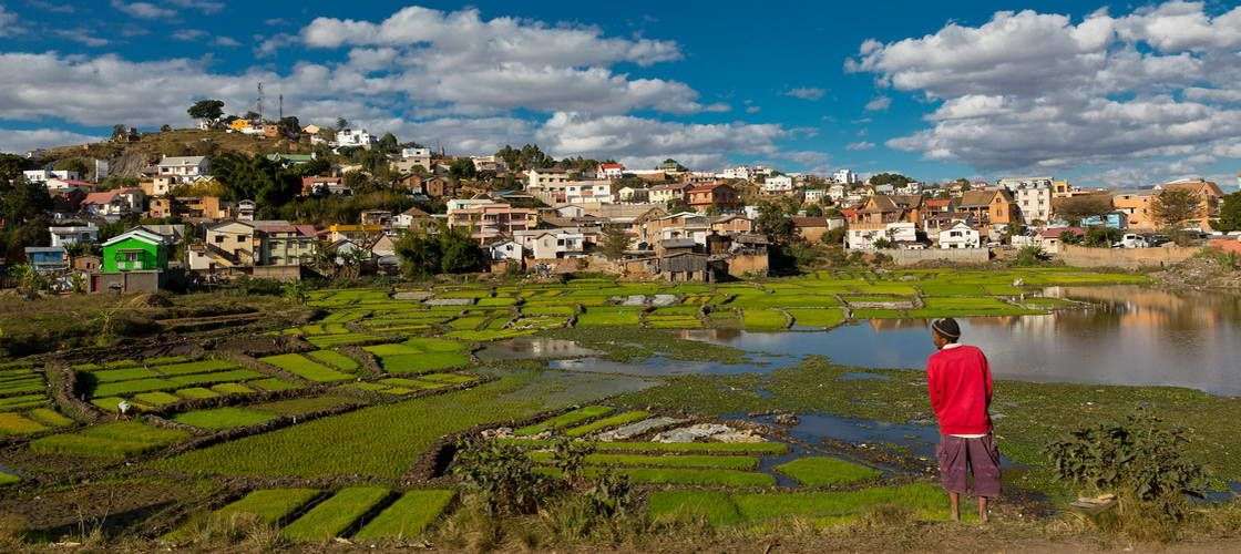 כתבות והמלצות לטיול במדגסקר Madagascar - צילום: anmede