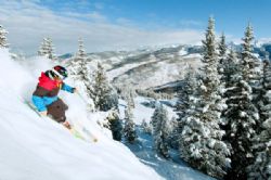 ארה"ב: אתר הסקי וייל בקולורדו