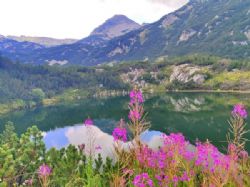 עיירת הסקי בנסקו והרי פירין