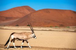 טיול בנמיביה – ערים מרכזיות