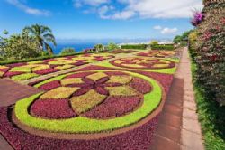 טיול באי מדיירה