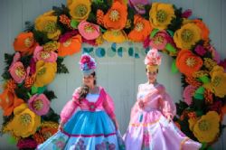 פסטיבל הפרחים במדיירה