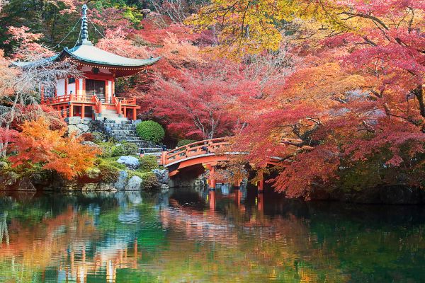 Daigo-Ji Temple, גן יפני