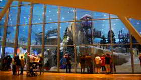 טיולים לאיחוד האמירויות והמפרץ הפרסי