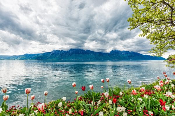 מונטרה, אגם ז'נבה, שוויץ