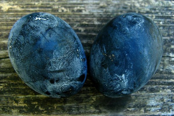 ביצים שחורות מהר הגעש באזור האקונה, לי דטוקיו