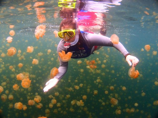 אגם המדוזות, פלאו