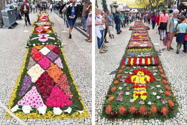 שטיחי פרחים בפסטיבל הפרחים במדיירה