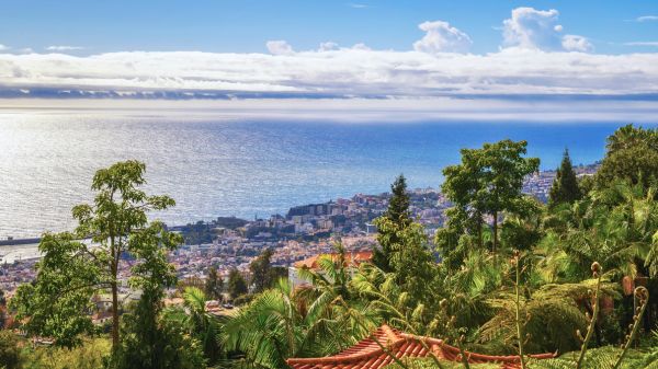 החוף הצפוני של מדיירה