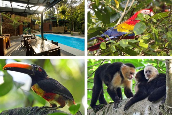 מקום לינה מומלץ ליד שמורת מנואל אנטוניו