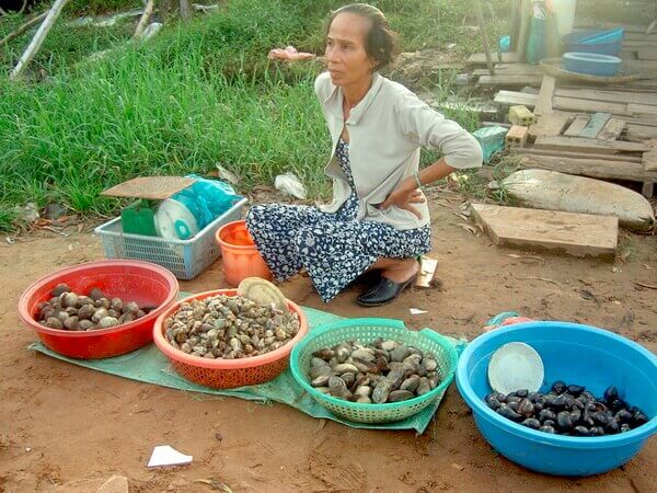 מוכרת צדפות, האי פו קווק, וייטנאם