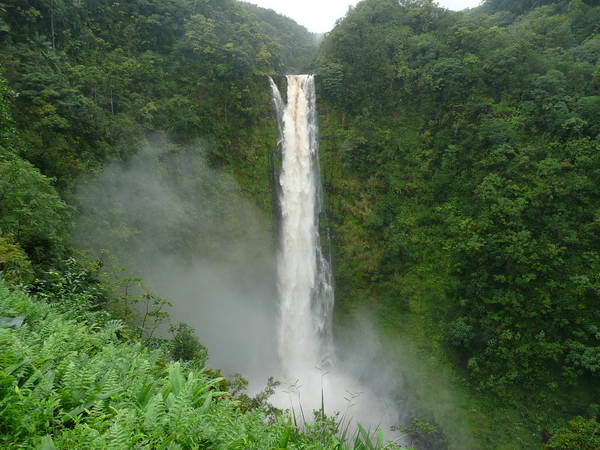 מפלי אקאקא (Akaka Falls S.P)