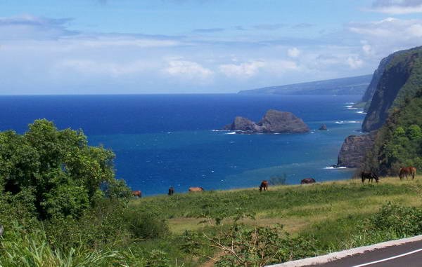נקודת תצפית פולולו (Pololu Lookout) המשקיפה על עמק פולולו (Pololū Valley)