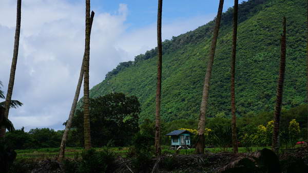 עמק ווייפיו (Waipio Valley)