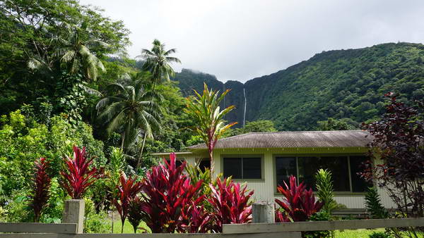 עמק ווייפיו (Waipio Valley)