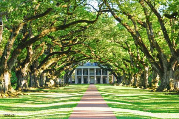 אחוזת Oak Alley Plantation, לואיזיאנה