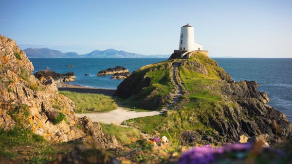 מגדלורים בוויילס