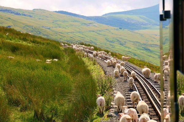 פארק סנודוניה, הר סנודון, ויילס