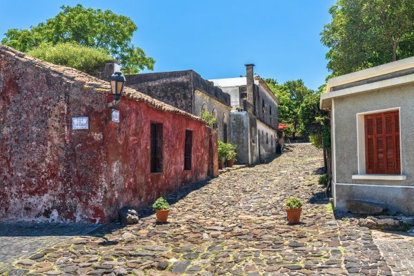 סמטת האנחות, קולוניה דל סקרמנטו