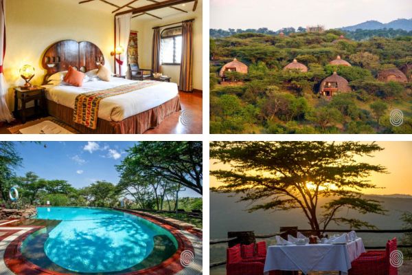 המלצת לינה בשמורת הסרנגטי