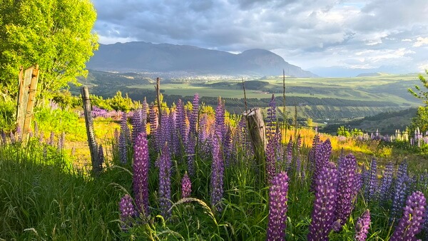 הקרטרה אוסטרל, פטגוניה, צ'ילה