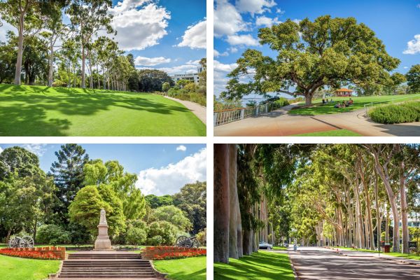 קינגס פארק, פרת'