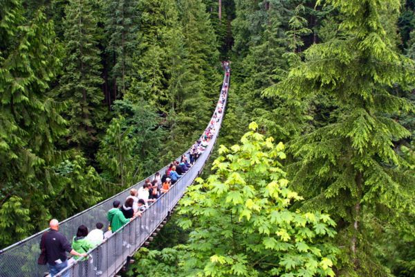 פארק גשר קפילאנו, ונקובר