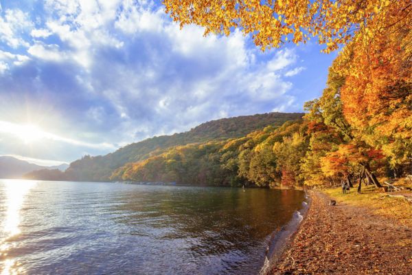 אגם צ'וזנג'י, ניקו