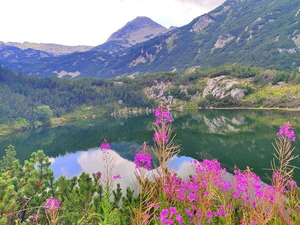 מסלול לאגמים מעל בנסקו, אגם העין, הרי פירין