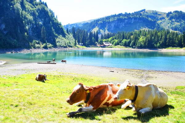 וילאר, שוויץ