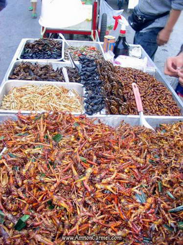 Wallpaper - Fried Scorpions and other bugs בנגקוק